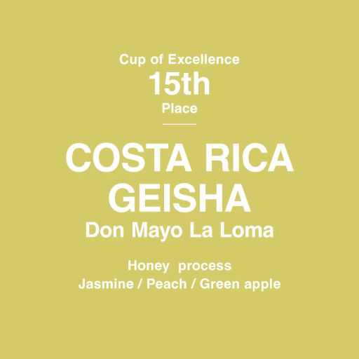 Costa Rica Geisha Don Mayo La Loma (Cup of Excellence 2024 COE#15)