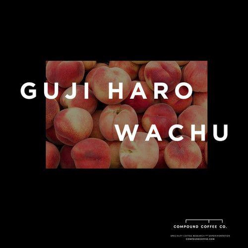 ETHIOPIA Haro Wachu Green Beans