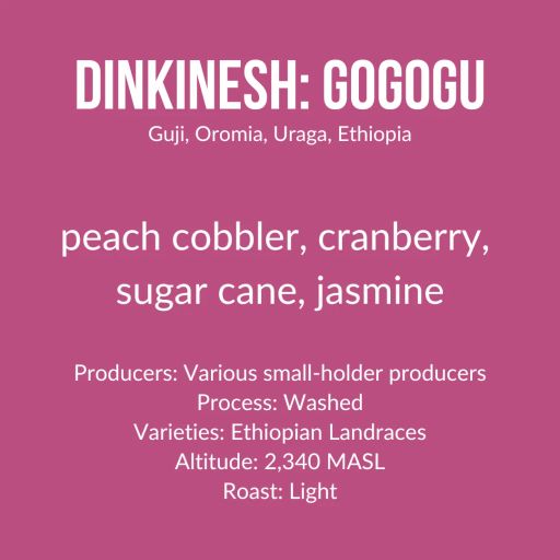 Dinkinesh: Gogogu, Ethiopia