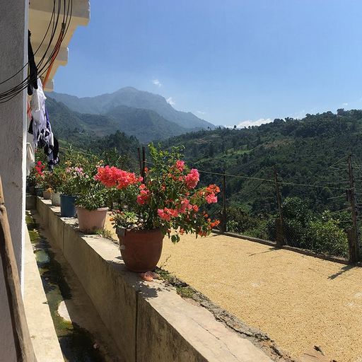 Guatemala Manos de Mujer