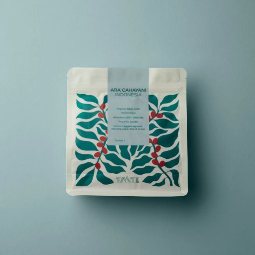 INDONESIA Frinsa Collective