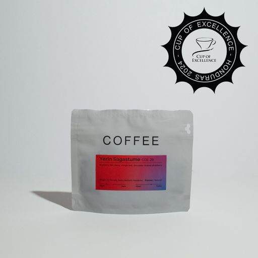 Yerin Sagastume - COE 28