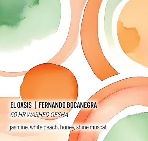 Fernando Bocanegra El Oasis 60hr Washed Gesha