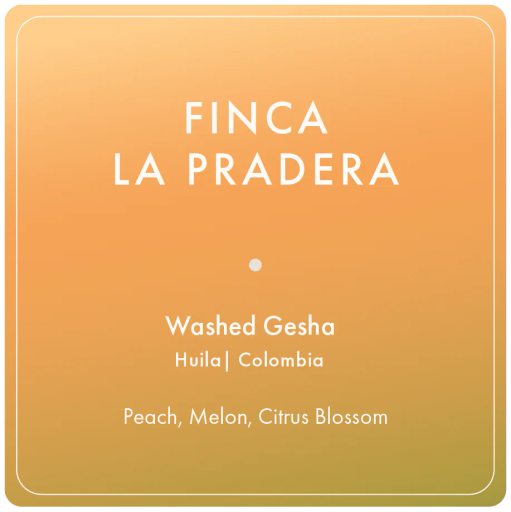 Finca La Pradera Gesha