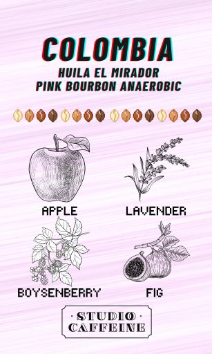 Colombia Huila Finca El Mirador Pink Bourbon Anaerobic Natural