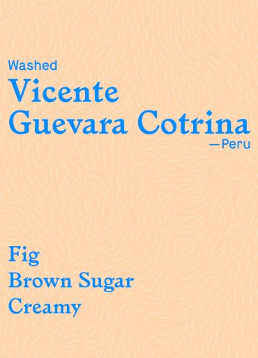 Vicente Guevara Cotrina