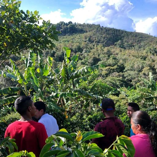 COLOMBIA | ASOMUJER Washed EA Sugarcane