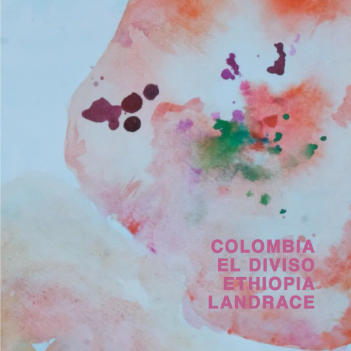 Colombia El Diviso Sidra