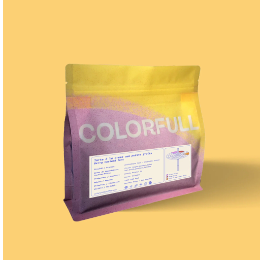 Colorfull - Berry Custard Tart