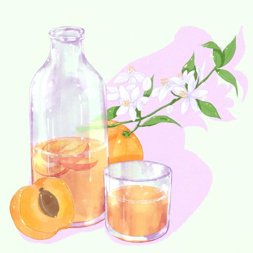 Gesha - Honey - Hacienda Santa Gertrudis