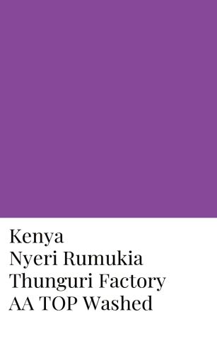 Kenya Nyeri Othaya FCS Gura Factory AA Top