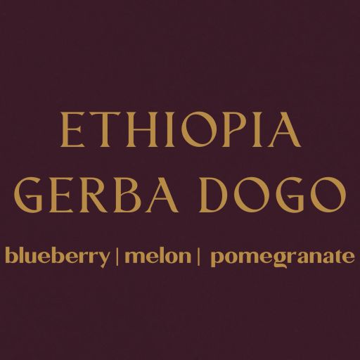 Ethiopia Gerba Dogo