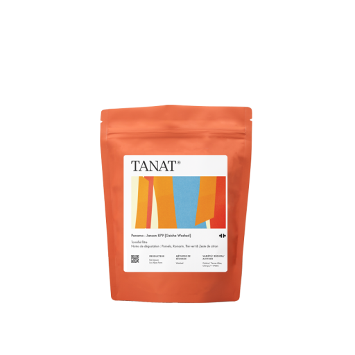 Janson 879 [Geisha Washed]