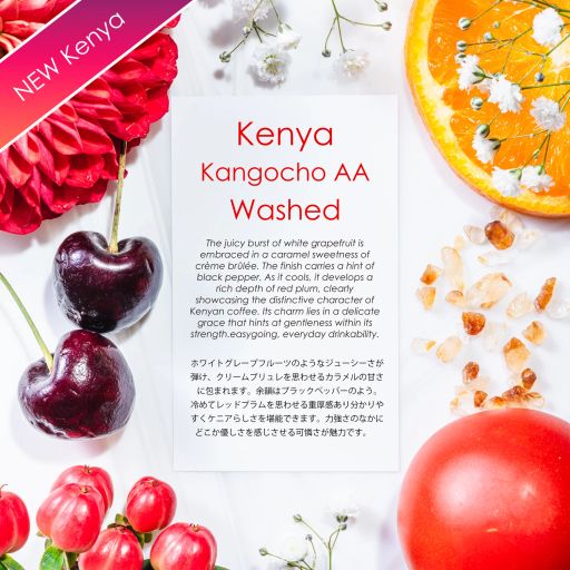 Kangocho AA Washed [Juicy & Rich]