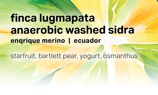 Finca Lugmapata - Anaerobic Washed Sidra