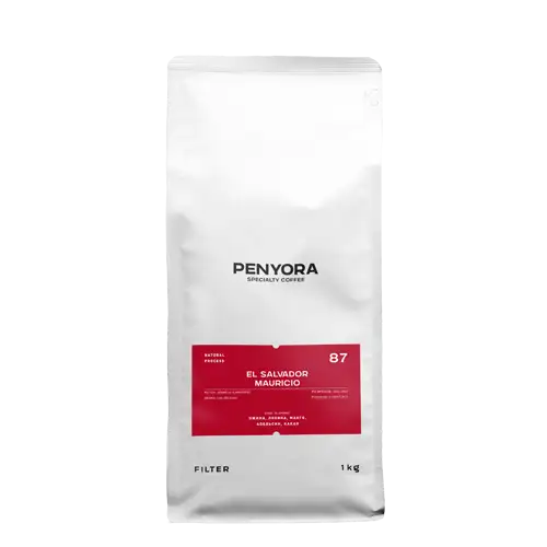 El Salvador Mauricio Filter