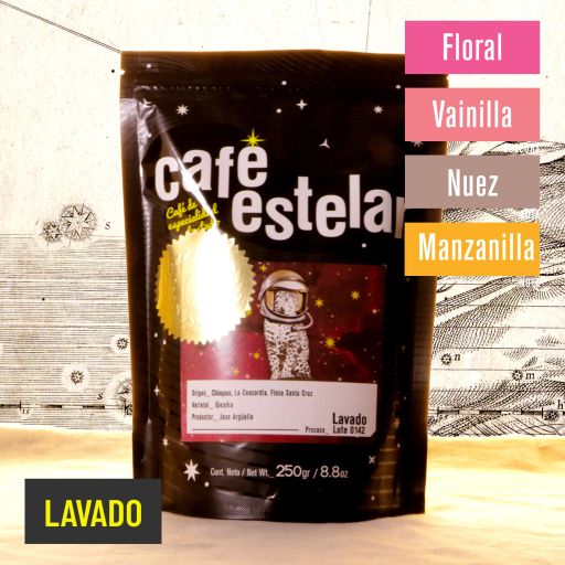 Café Chiapas - Finca Santa Cruz - Gesha - Lavado - 0142