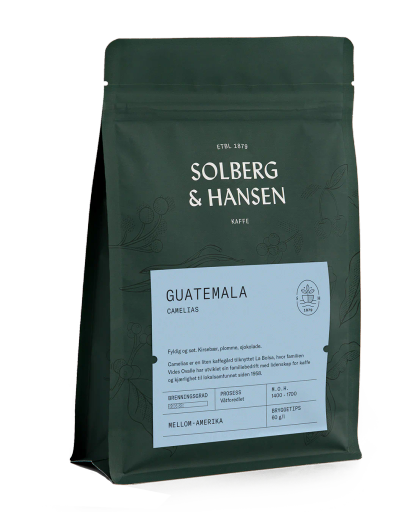 Guatemala - Camelias