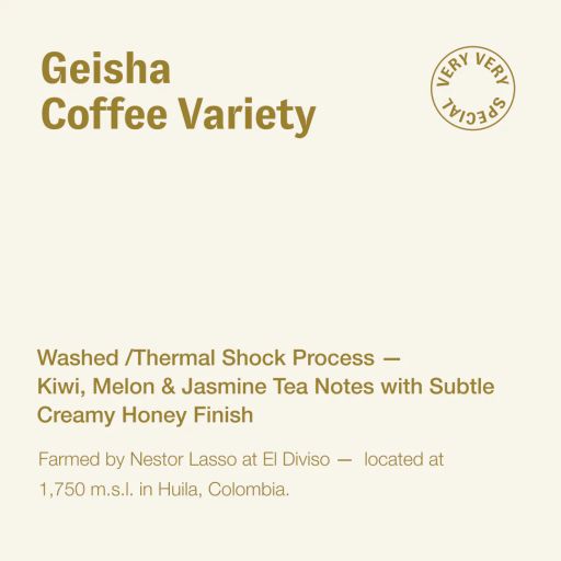 Geisha, Nestor Lasso, Colombia