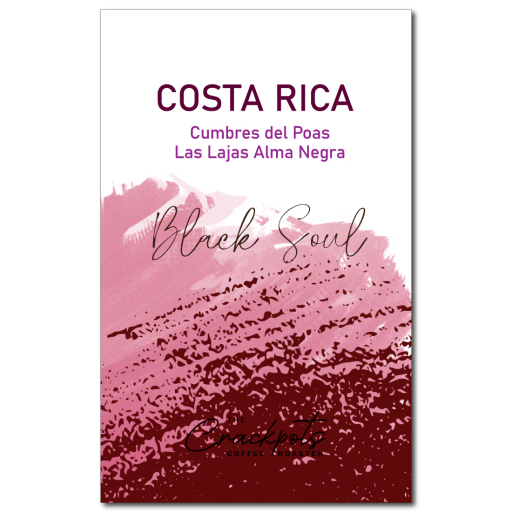 Costa Rica Cumbres del Poas Las Lajas Alma Negra Black Soul