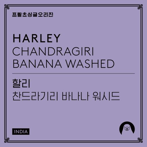 Harley Chandragiri Banana Washed