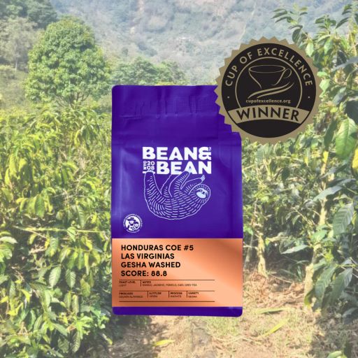 Honduras Cup of Excellence #5 Gesha