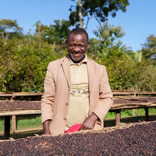 Ethiopia - Halo Hartumi by Birhanu Dido Series