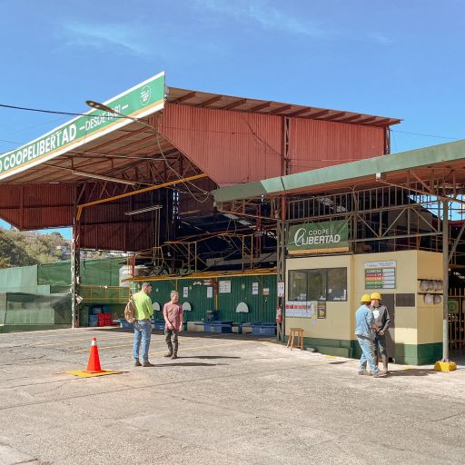 Costa Rica Corralillo