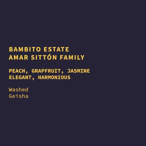 Panama Bambito Estate Washed Geisha