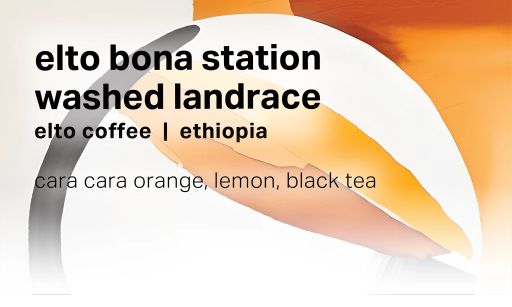 Elto Coffee Bona Station - Washed Landrace