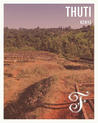 Kenya Thuti Espresso