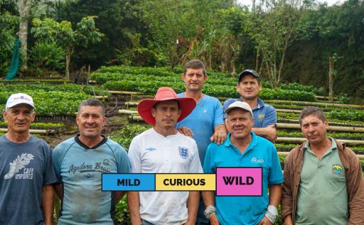 Costa Rica El Monte San Roque Black Honey