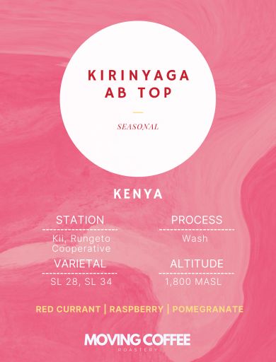 Kirinyaga AB Top W