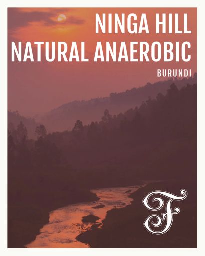 Burundi Ninga Hill Natural Anaerobic