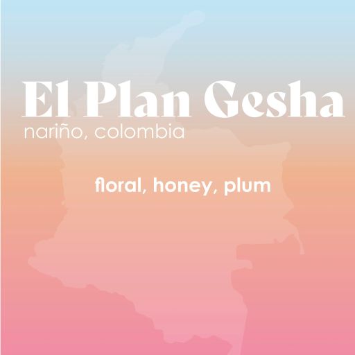 El Plan Gesha