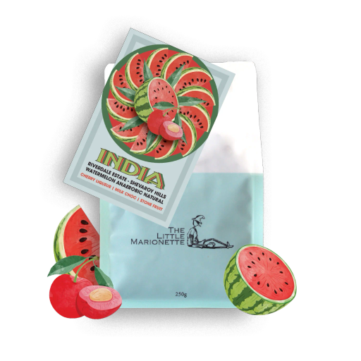 India | Riverdale Estate ~ Watermelon Anaerobic Natural