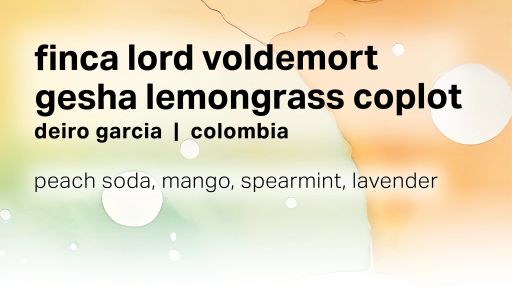 Deiro Garcia Finca Lord Voldemort - Gesha Lemongrass Coplot