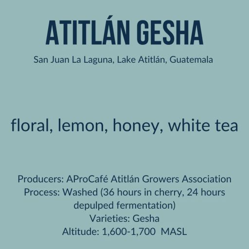 Atitlán - Gesha