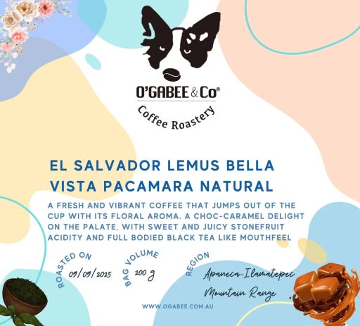 El Salvador Lemus Bella Vista Pacamara Natural