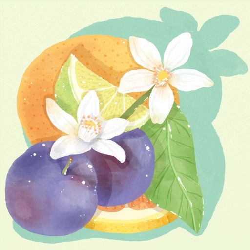 Geisha - "Flower Touch" - TNT Lab, Finca Auromar