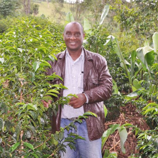 Ethiopia - Rumudamo by Asefa Dukamo - Washed (CoE 2020 #2 Farm)