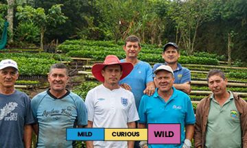 COSTA RICA | Finca Toño | Villa Sarchi | Natural