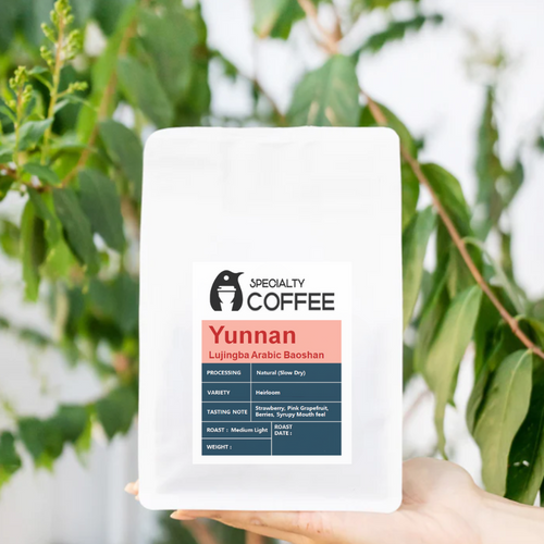 China Yunnan Lujiangba Arabica Baoshan