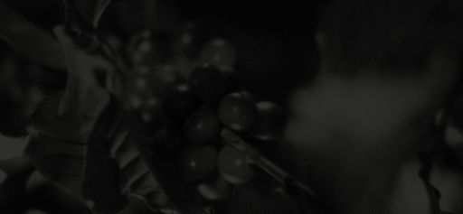 Necessary — Colombia