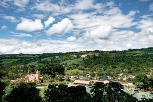 COSTA RICA AQUIARES GRAND PEABERRY