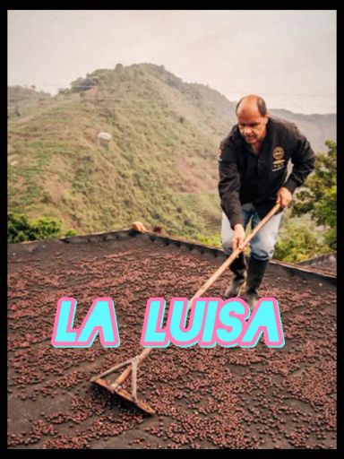 La Luisa | Colombia