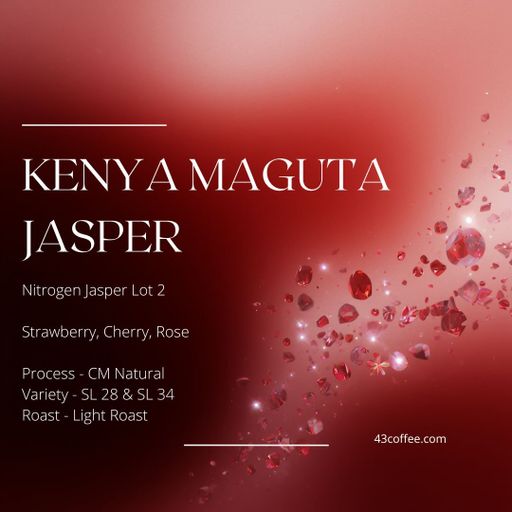 Kenya Maguta Nitro Jasper