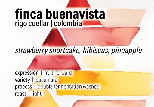 Rigo Cuellar Finca Buenavista - Double Fermentation Washed Pacamara