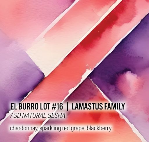 Lamastus Family El Burro Lot #16 - ASD Natural Geisha