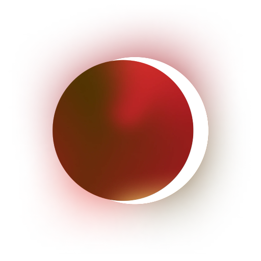 Brazil Carmo Pacamara Anaerobic Natural Santuário Sul R-007284